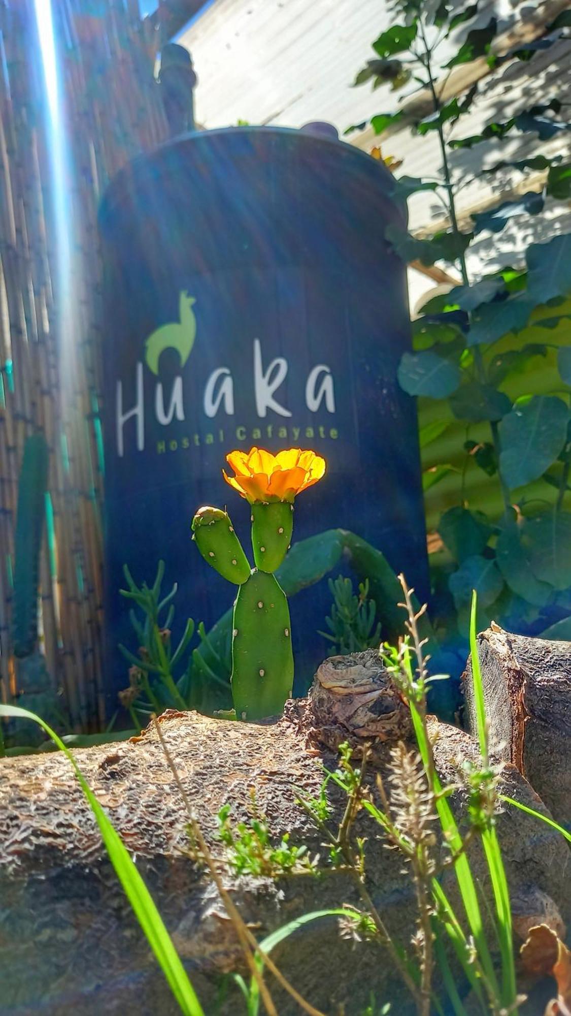 Huaka Hostel And Guest House Cafayate Dış mekan fotoğraf